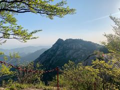 -鲁山国家森林公园