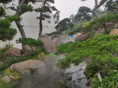 -罗红摄影艺术馆