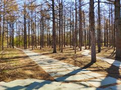 -长春市南湖公园