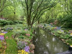 -上海共青森林公园