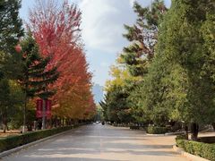 -辽宁大学(崇山校区)