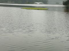-重庆彩云湖湿地公园