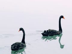 -南京珍珠泉风景区