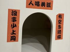 -楼上猫咖(罗湖店)
