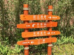 导游图-重庆彩云湖湿地公园