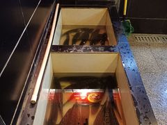 -百岁鱼(人民路店)