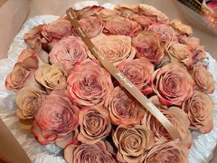 -循礼门鲜花花市(武汉循礼门店)