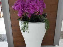 -远洋未来广场(育慧北路店)