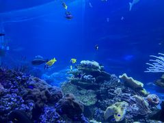 -欢乐海岸海洋奇梦馆