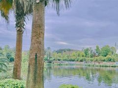 -枫香湖儿童公园