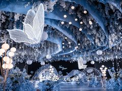 -艾拉私人定制婚礼