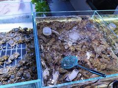 -聚盛源蒸汽海鲜火锅烤肉自助(巨川金海岸购物广场店)