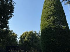 -宋庆龄陵园