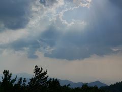 -武陵山森林公园