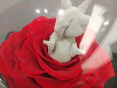 -ROSEONLY诺誓(沈阳万象城店)