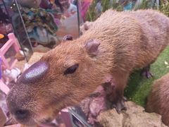 -正佳雨林生态植物园