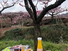 -成都利兹影音酒店(世纪城新国际会展中心店)