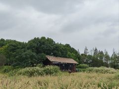 -良渚古城遗址公园