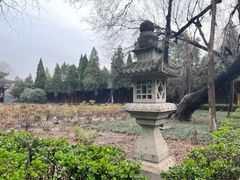 -洛阳白马寺