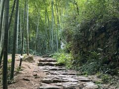 -莫干山风景区