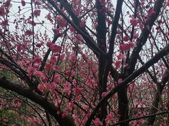 -颐景园