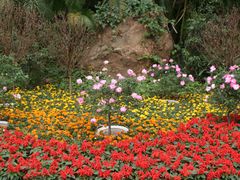 -人民公园(罗湖区)