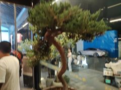 -荣阳楼(山塘街店)