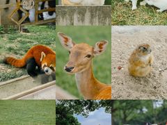 -苏州太湖西山岛开心农场