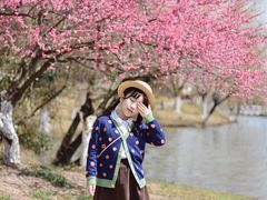 -白塘生态植物园