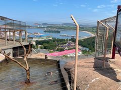 -西霞口神雕山野生动物世界