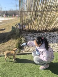 -268童话露营农场·烧烤·团建