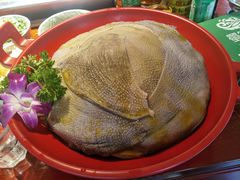 -二荆条·蜀鲜汇城市森林火锅