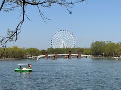 -石家庄市植物园