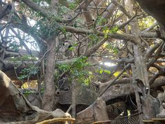 -长鹿旅游休博园