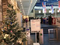 -冠军冰场(环球中心店)