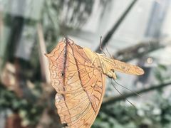 -上海自然博物馆