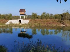 -东郊湿地公园
