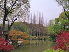 -上海醉白池公园