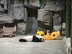 -栾川竹海野生动物园