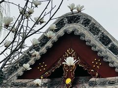 -迎泽公园