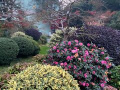 -浙江西子宾馆·瑶园咖啡厅