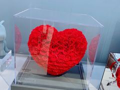 -ROSEONLY诺誓(青岛万象城店)