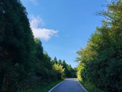 -武陵山森林公园