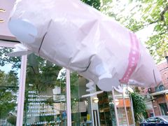 -WHEN PIGS FLY当猪飞