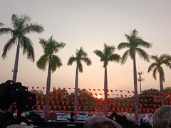 -海上田园