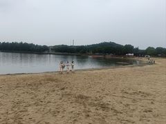 -上海月湖雕塑公园