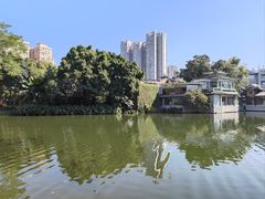 -荔湾湖公园