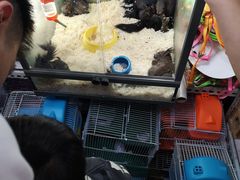 -万商花鸟市场