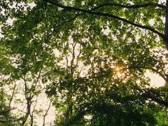 -南山风景名胜区