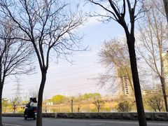 -丁香湖公园